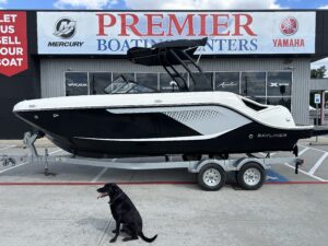 2025 22' BAYLINER D22I
